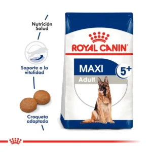 MAXI ADULT 5+ | royal canin