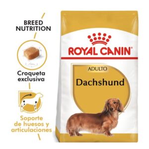 DACHSHUND ADULTO | ROYAL CANIN