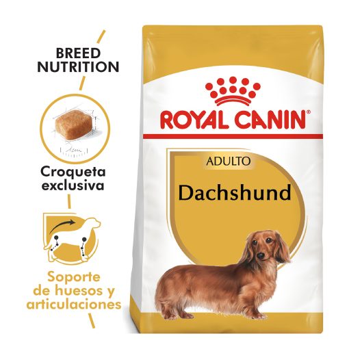 DACHSHUND ADULTO | ROYAL CANIN