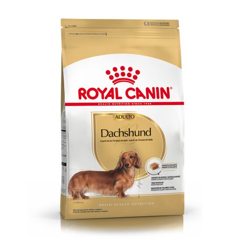 DACHSHUND ADULTO | ROYAL CANIN - Image 6