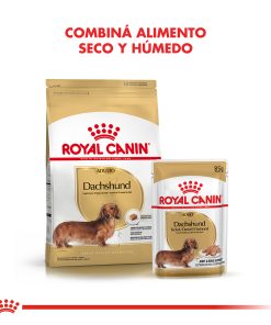 DACHSHUND ADULTO | ROYAL CANIN - Image 5