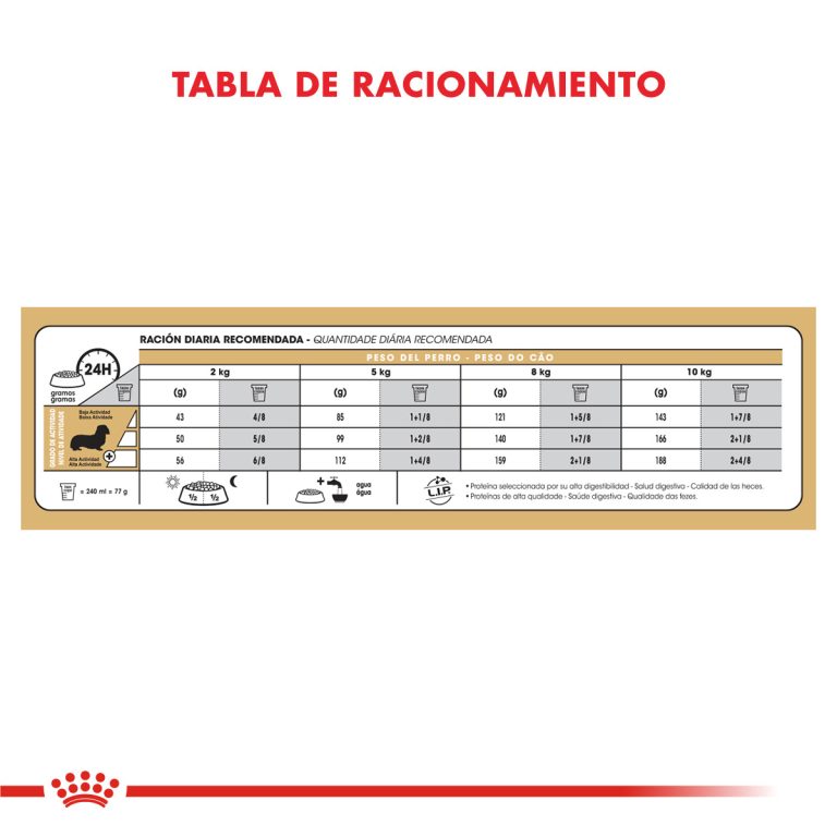 DACHSHUND ADULTO | ROYAL CANIN - Image 4