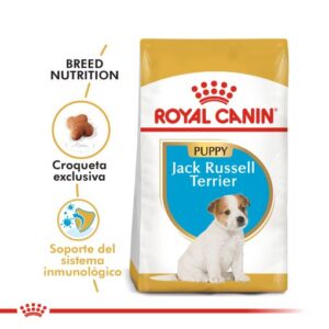 JACK RUSSEL PUPPY | ROYAL CANIN