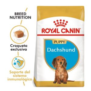 DACHSHUND PUPPY | ROYAL CANIN