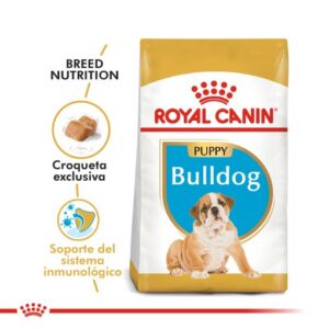 BULLDOG PUPPY | ROYAL CANIN