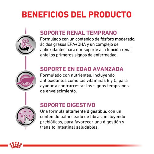 RENAL | ROYAL CANIN - Image 2