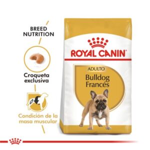 BULLDOG ADULTO | ROYAL CANIN