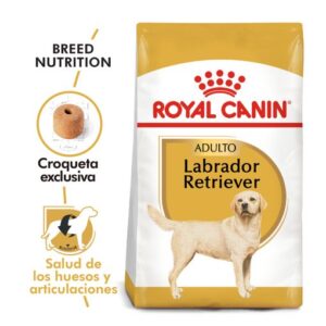 LABRADOR RETRIEVER ADULTO | ROYAL CANIN
