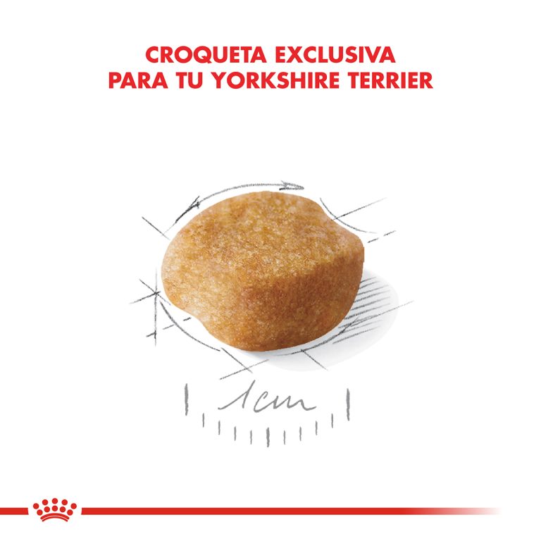 YORKSHIRE TERRIER ADULTO | ROYAL CANIN - Image 3