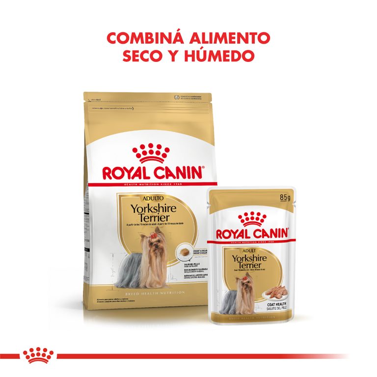 YORKSHIRE TERRIER ADULTO | ROYAL CANIN - Image 5