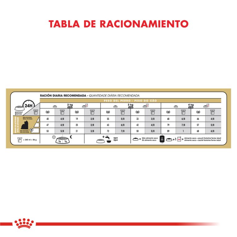 YORKSHIRE TERRIER ADULTO | ROYAL CANIN - Image 4