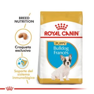 BULLDOG FRANCES PUPPY | ROYAL CANIN