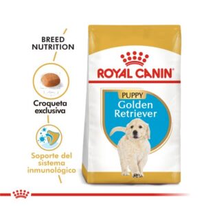 GOLDEN RETRIEVER PUPPY | ROYAL CANIN