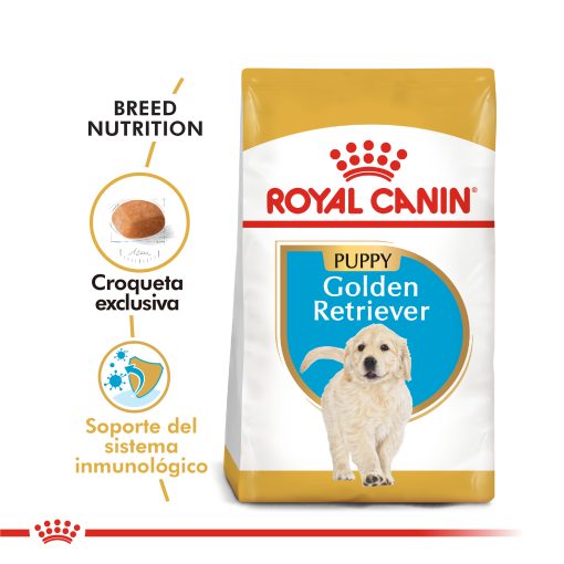 GOLDEN RETRIEVER PUPPY | ROYAL CANIN
