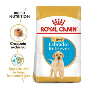 LABRADOR RETRIEVER PUPPY | ROYAL CANIN