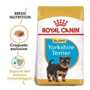 YORKSHIRE TERRIER PUPPY | ROYAL CANIN