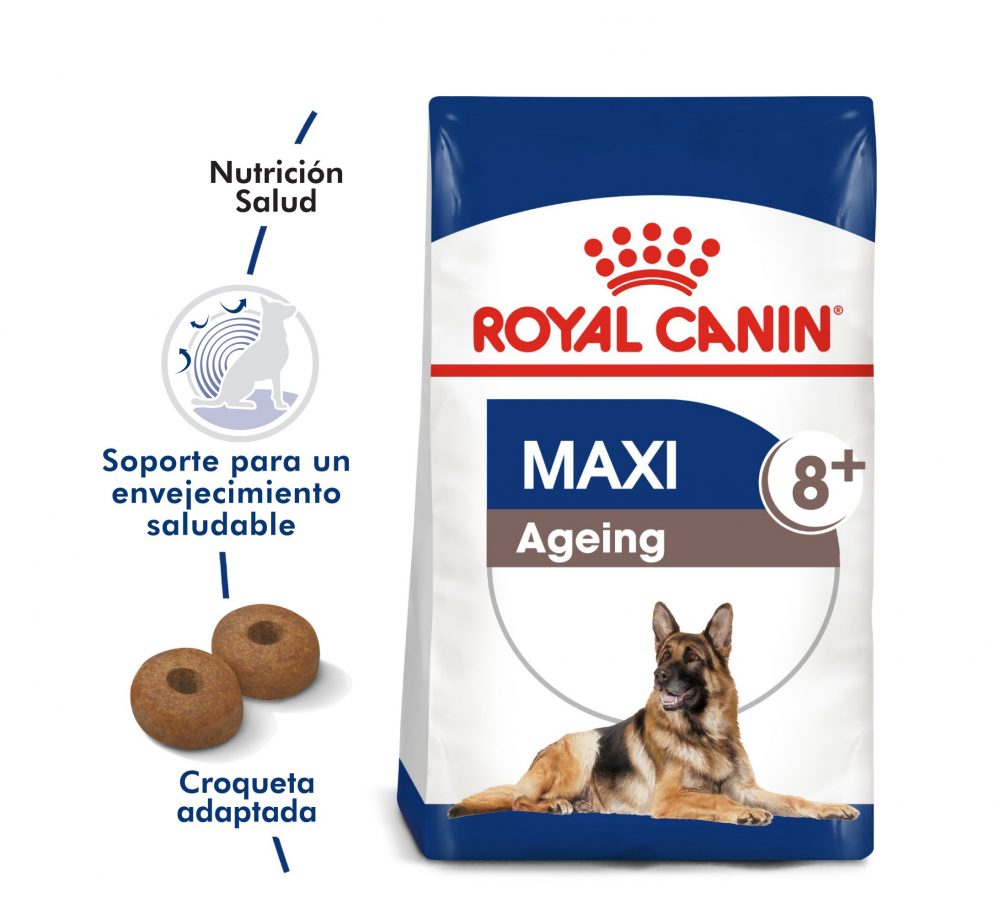 Maxi Ageing 8+ | ROYAL CANIN
