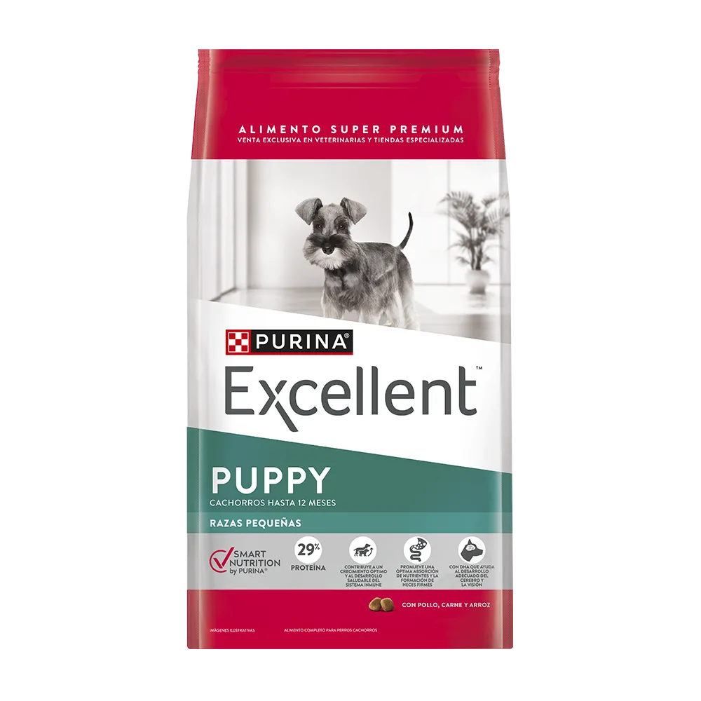 Excellent Cachorro Raza Pequeña