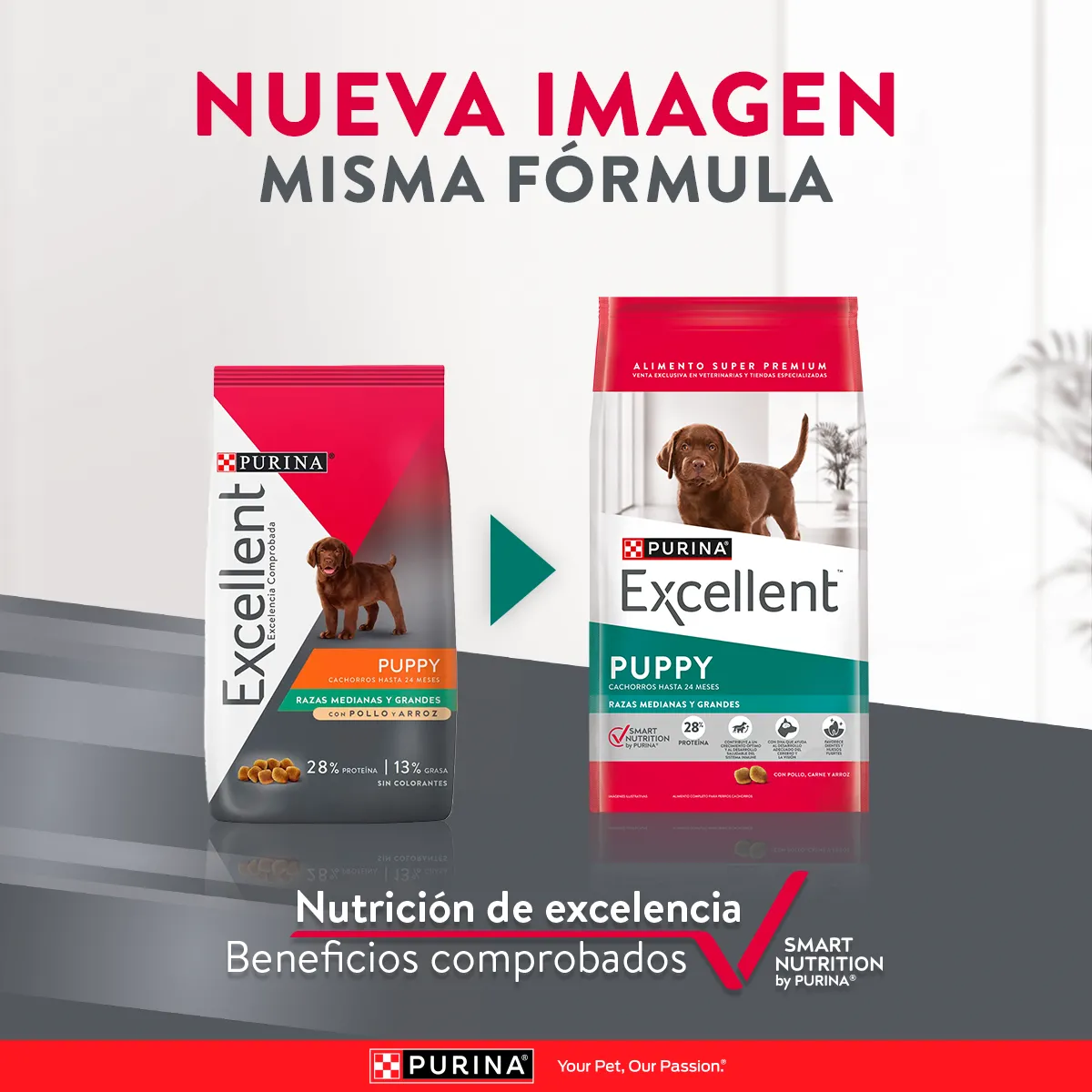 Purina Excellent Puppy mediano y grande - Image 2