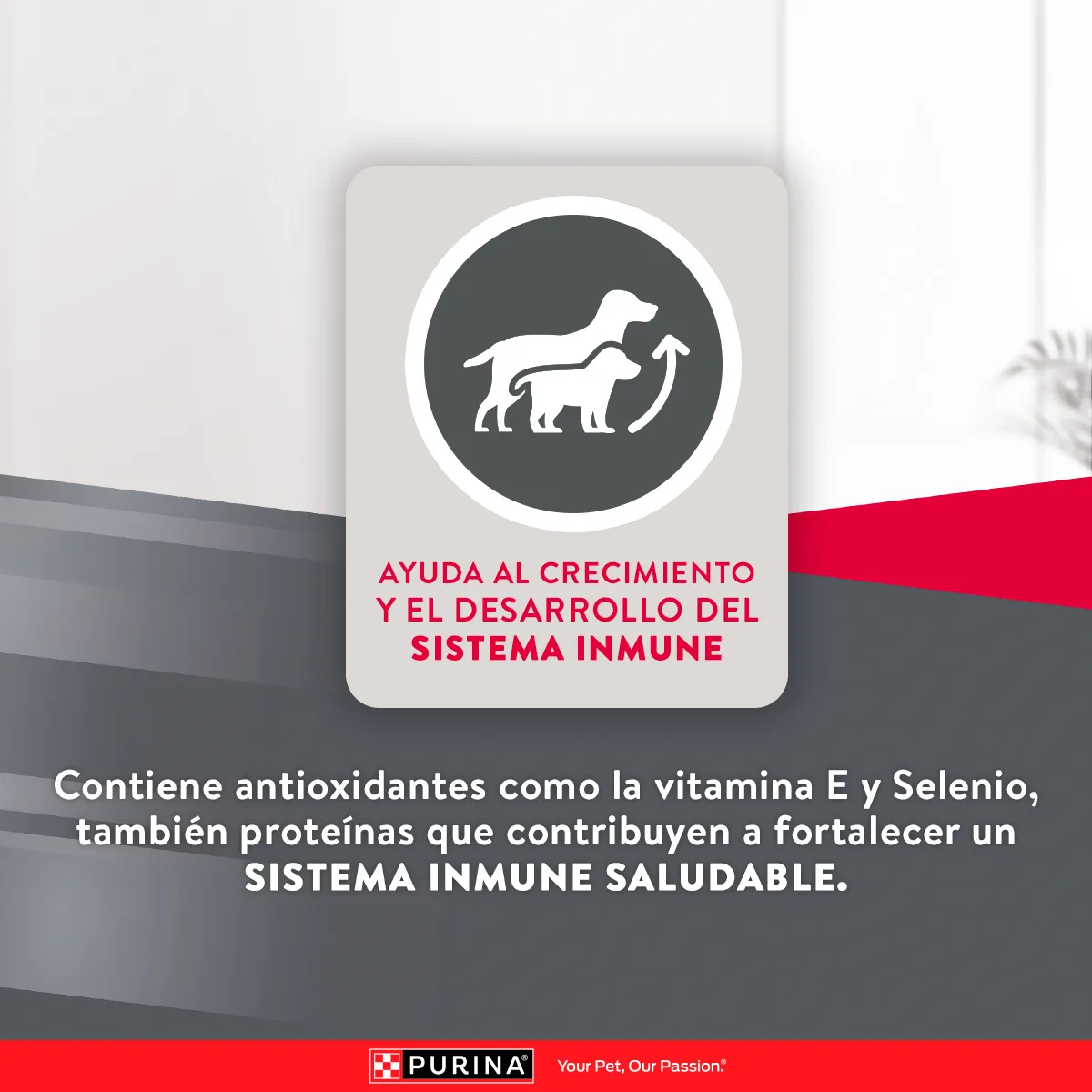 Purina Excellent Puppy mediano y grande - Image 5