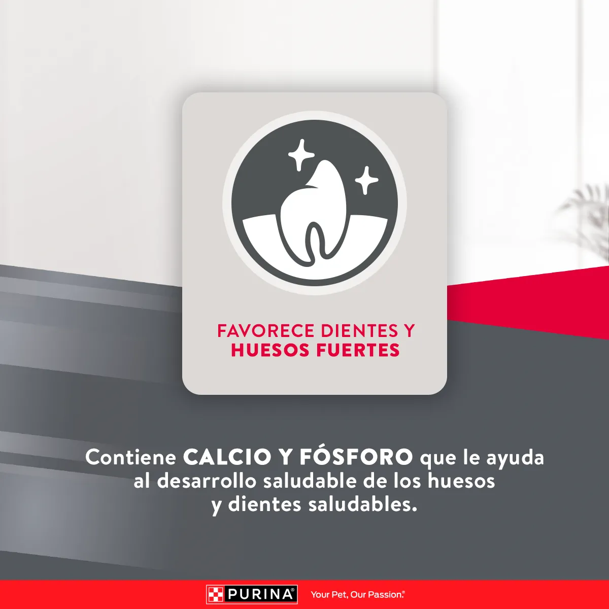 Purina Excellent Puppy mediano y grande - Image 3