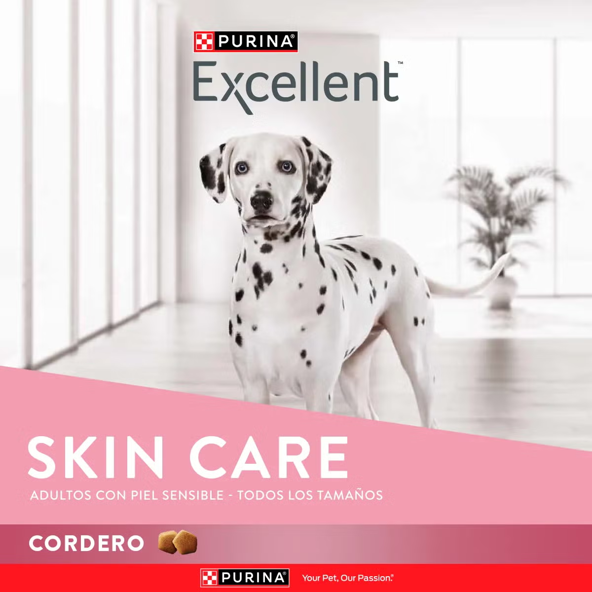 Excellent Skin Care Adultos con Cordero - Image 7