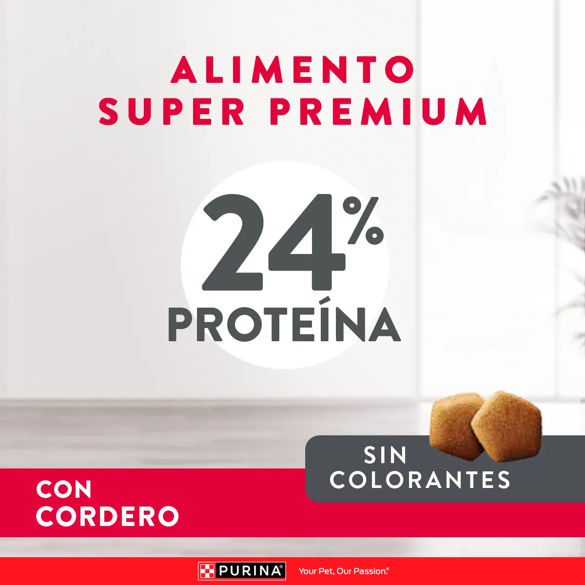 Excellent Skin Care Adultos con Cordero - Image 6