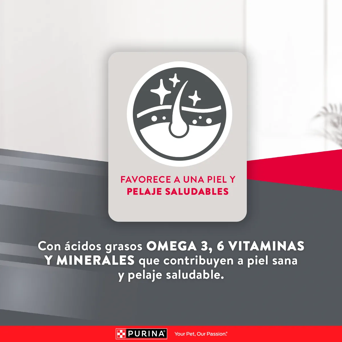 Excellent Skin Care Adultos con Cordero - Image 4