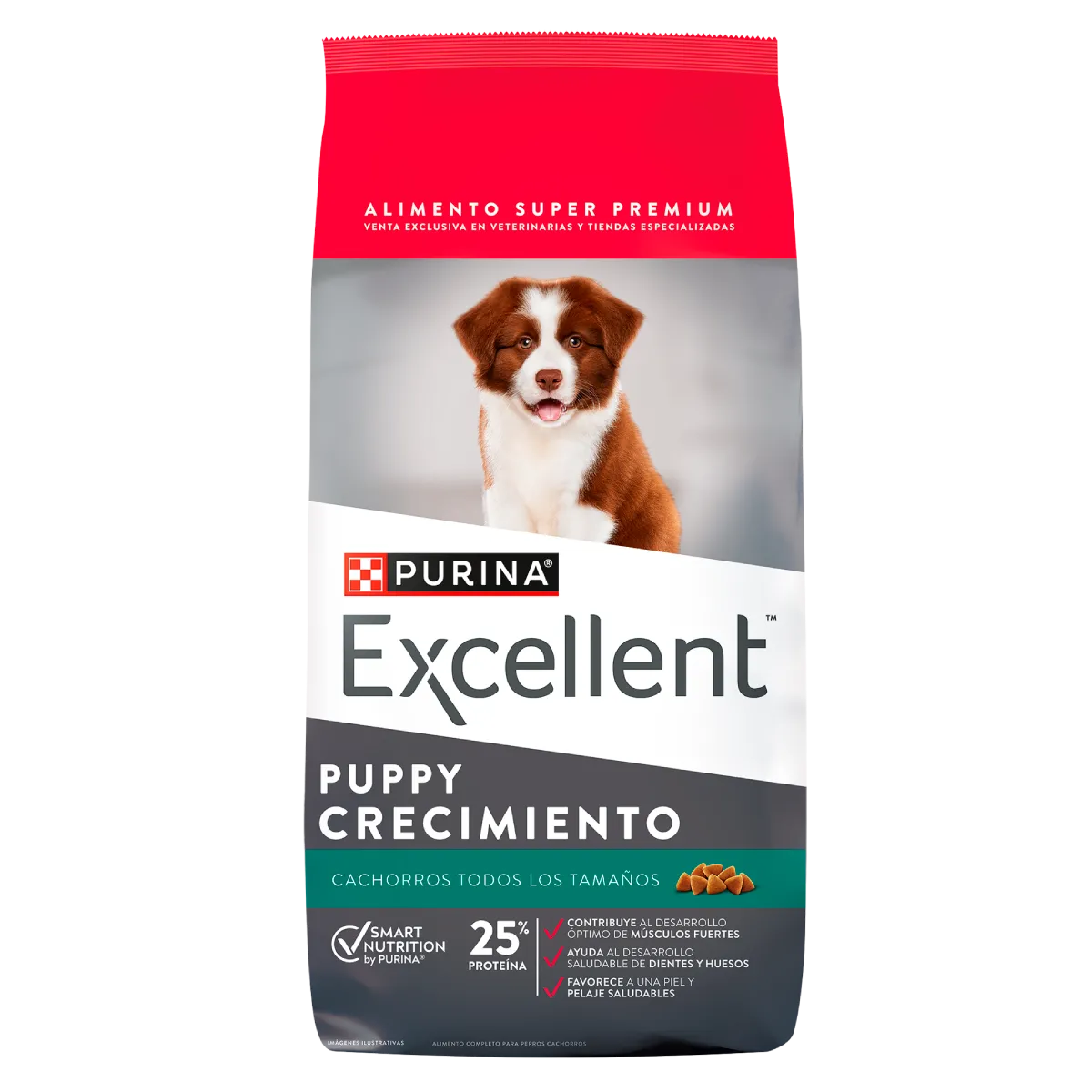 Excellent Puppy Crecimiento