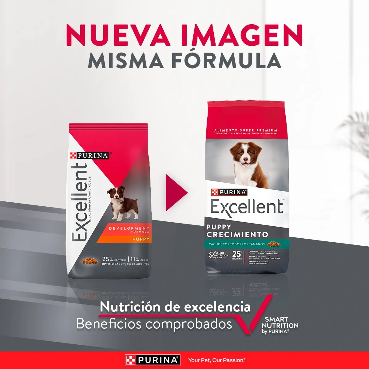 Excellent Puppy Crecimiento - Image 2