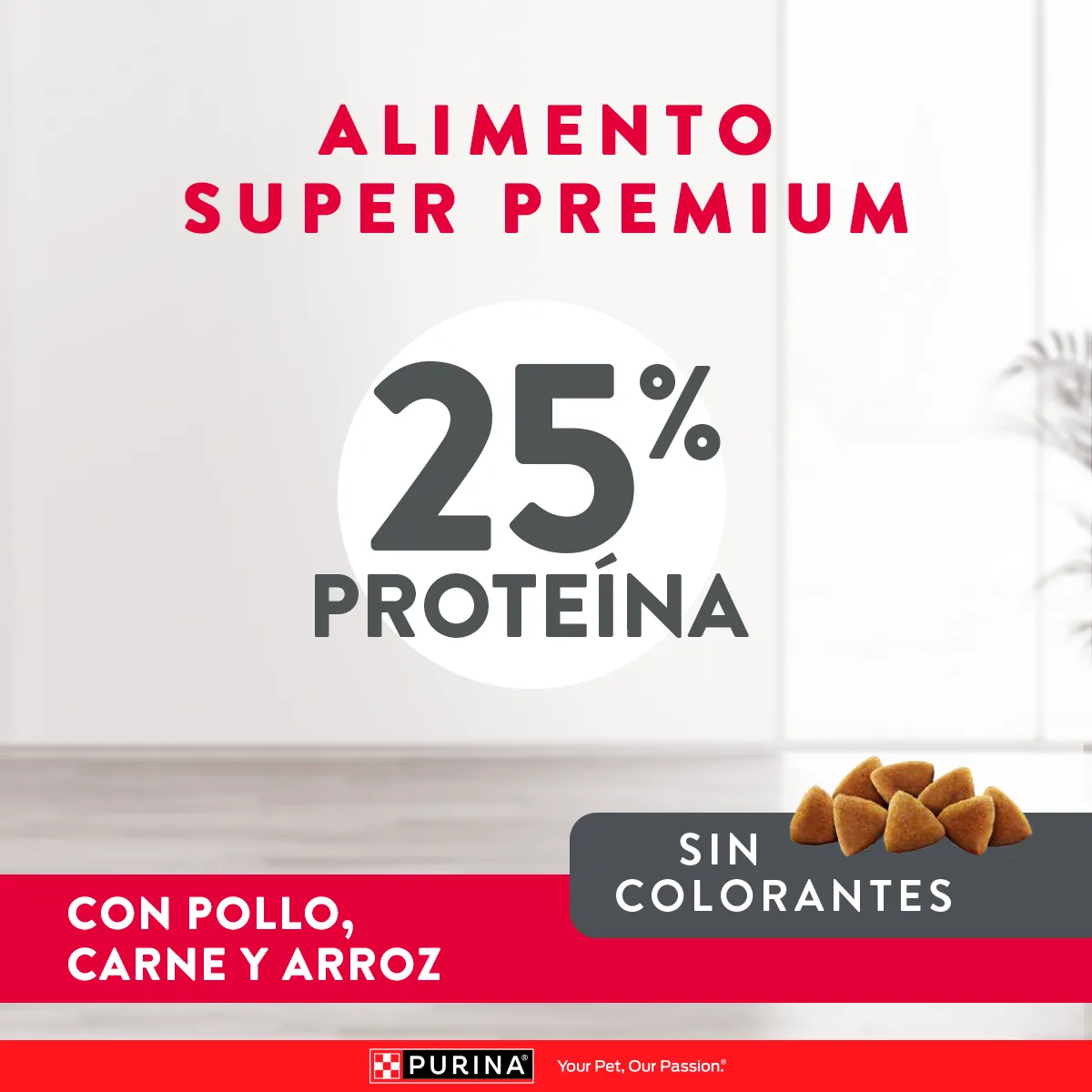 Excellent Puppy Crecimiento - Image 7