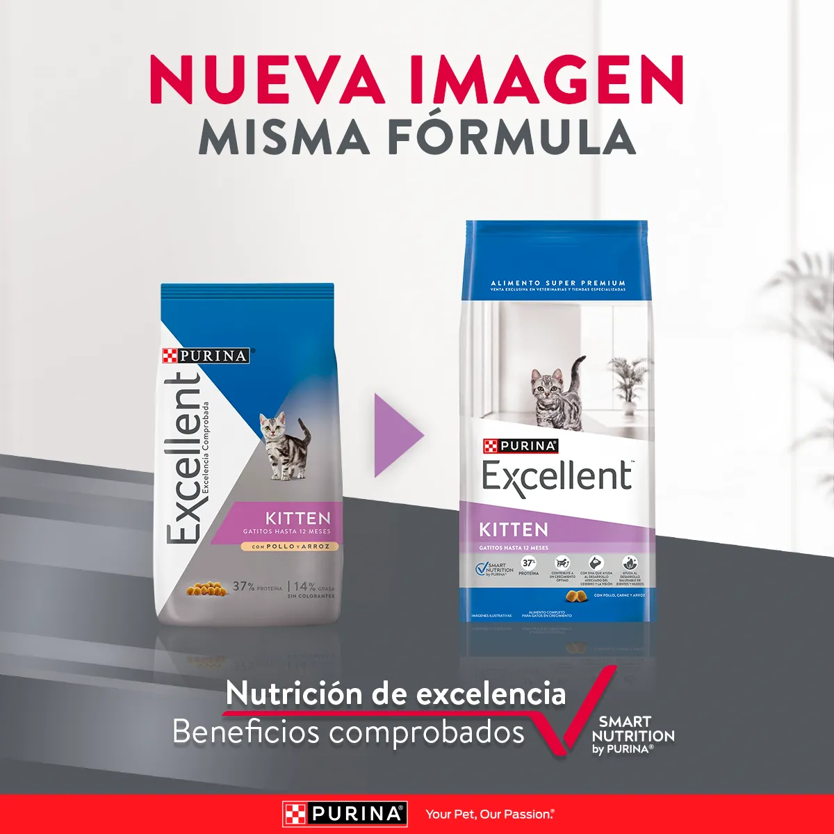 Excellent Kitten Pollo y Arroz - Image 2