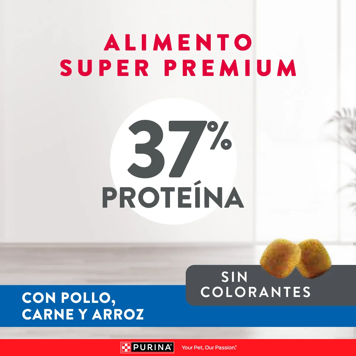 Excellent Kitten Pollo y Arroz - Image 7