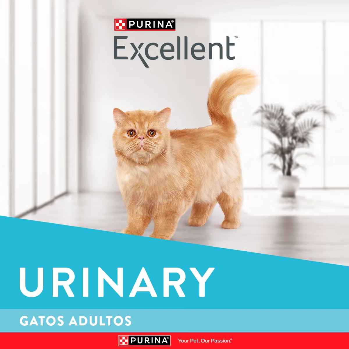 Excellent Gato Urinary - Image 8