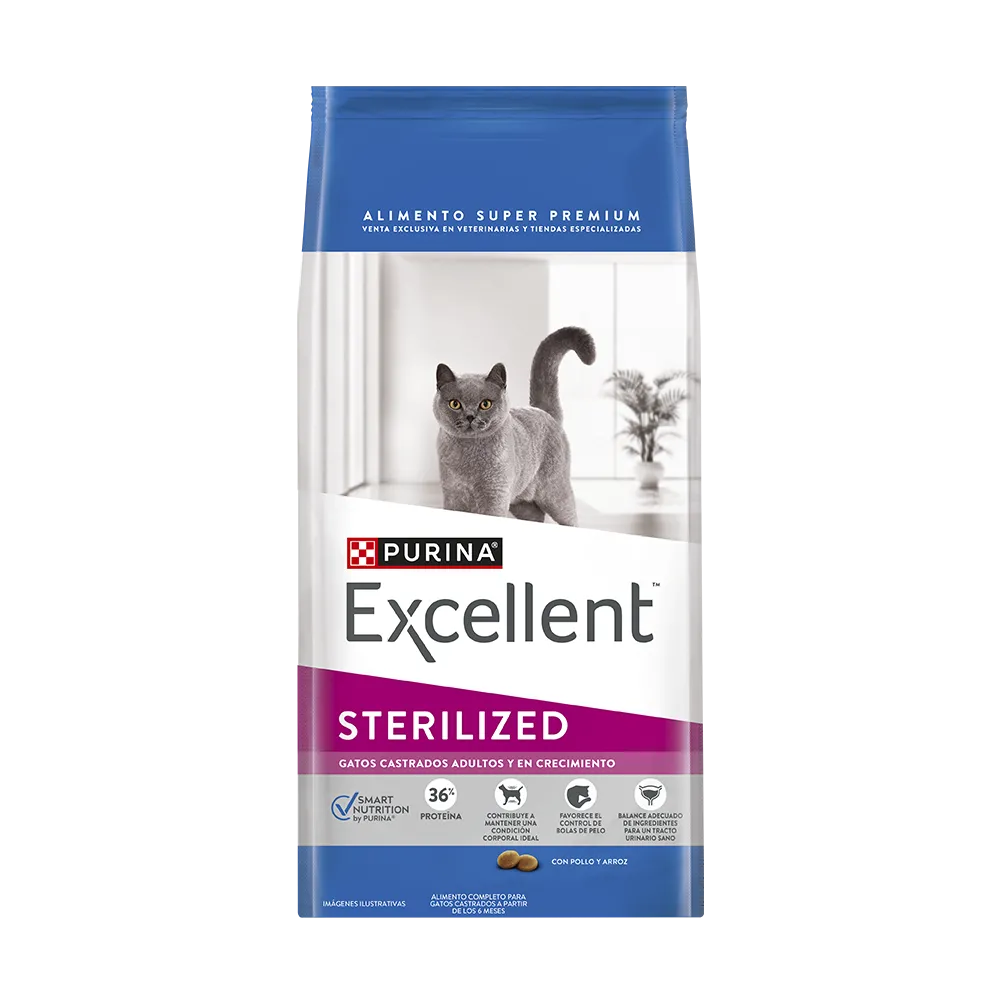 Excellent Gato Sterilized